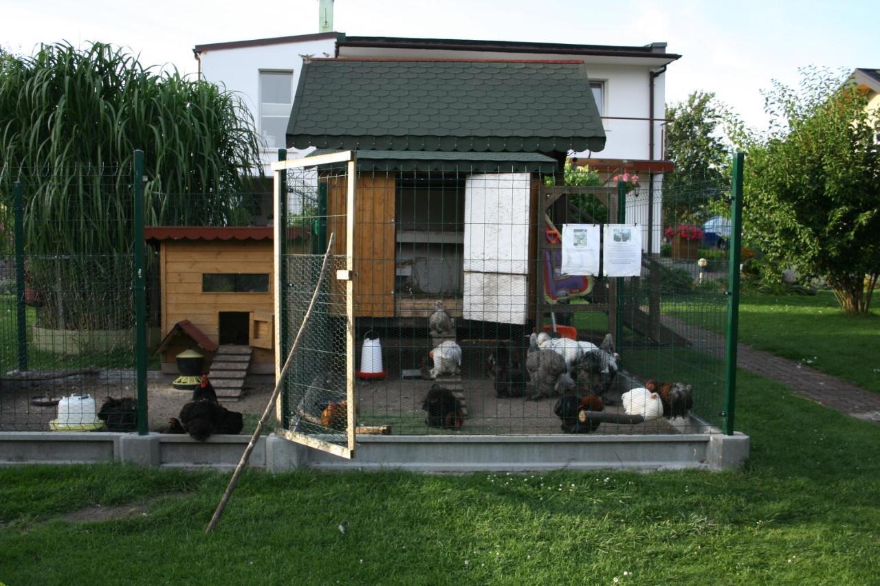 Sianowskie Ranczo Exterior foto